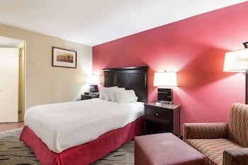 Standard Room, 1 Queen Bed, Non Smoking, Refrigerator & Microwave (Pet Friendly)