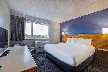 Standard Room, 1 King Bed, Non Smoking
