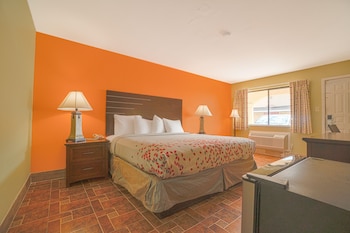 Room, 1 King Bed