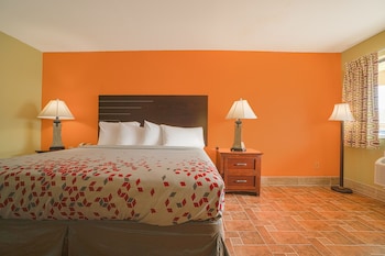 Room, 1 King Bed
