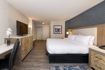 Room, 1 King Bed, Refrigerator