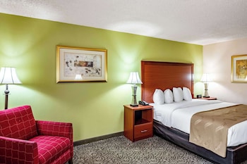 Standard Room, 1 King Bed, Non Smoking