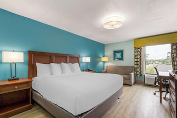 Standard Room, 1 King Bed, Accessible, Bathtub (with Sofabed)