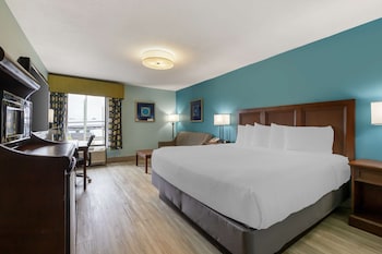 Standard Room, 1 King Bed, Non Smoking, Refrigerator & Microwave (with Sofabed)
