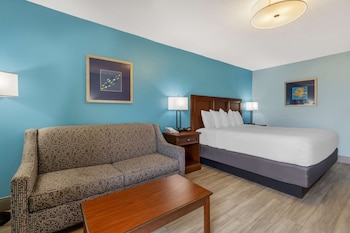 Standard Room, 1 King Bed, Non Smoking, Refrigerator & Microwave (with Sofabed)