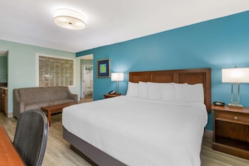 Standard Room, 1 King Bed, Non Smoking, Refrigerator & Microwave (Oversized Room;with Sofabed)