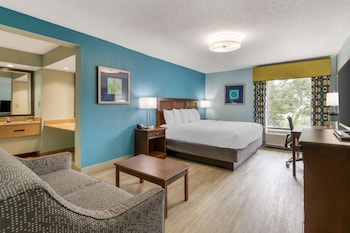 Standard Room, 1 King Bed, Non Smoking, Refrigerator & Microwave (Oversized Room;with Sofabed)