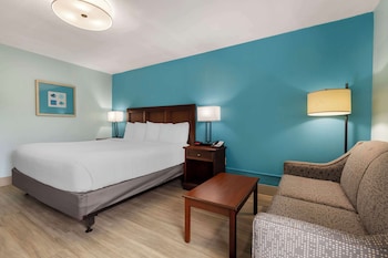 Standard Room, 1 King Bed, Accessible, Bathtub (with Sofabed)