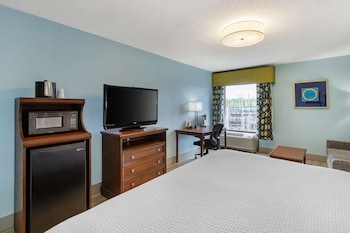 Standard Room, 1 King Bed, Non Smoking, Refrigerator & Microwave (with Sofabed)