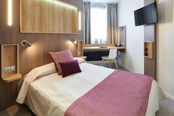 "BASIC", double room, 13m², one big bed, window, city or "Nive" river view