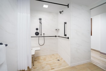 Room, 1 King Bed, Accessible, City View (Roll in Shower, Balcony)