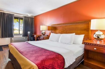 Room, 1 King Bed, Accessible, Non Smoking