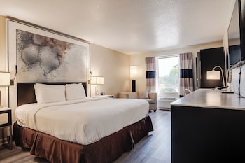 Room, 1 King Bed, Non Smoking