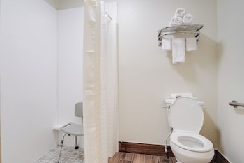 Room, 1 King Bed, Mobility Accessible, Non Smoking (Roll-in Shower)