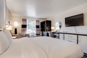 Room, 1 King Bed, Non Smoking