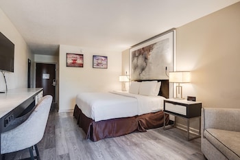 Room, 1 King Bed, Mobility Accessible, Non Smoking (Roll-in Shower)