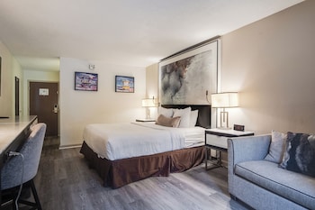 Room, 1 King Bed, Non Smoking