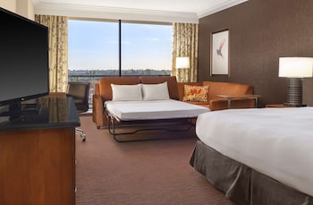 Room, 1 King Bed with Sofa bed