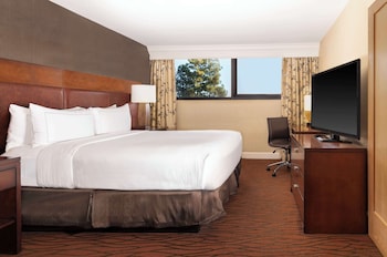 Suite, 1 King Bed (Conference)