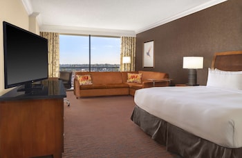 Room, 1 King Bed with Sofa bed