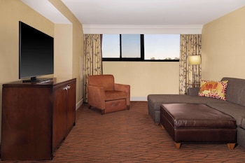 Suite, 1 King Bed (Conference)