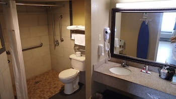 Room, 1 King Bed, Accessible, Non Smoking (Mobility,Hearing,Roll-In Shower)