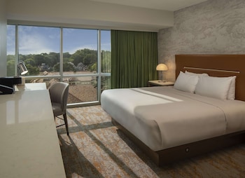 Deluxe Room, 1 King Bed