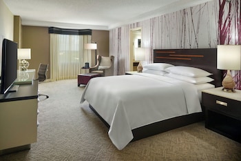Room, 1 King Bed