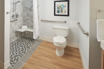 Suite, 1 Bedroom, City View (Mobility/Hearing Access, Roll-in Shwr)