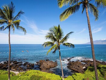 Condo, 2 Bedrooms, Oceanfront (F304)