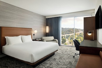 Room, 1 King Bed with Sofa bed