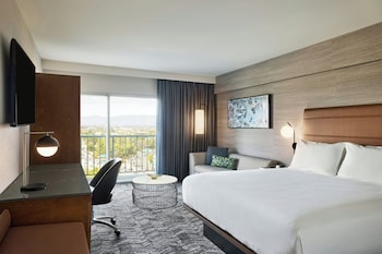 Room, 1 King Bed with Sofa bed