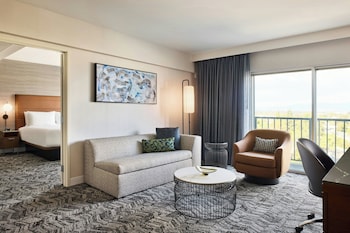 Suite, 1 King Bed with Sofa bed