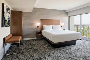 Suite, 1 King Bed with Sofa bed