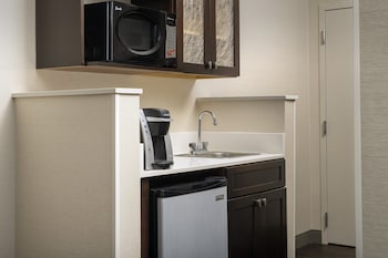 Suite, 1 King Bed, Accessible (Roll-In Shower)
