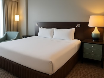 Standard Room, 1 King Bed, Accessible Bathtub (Communications)