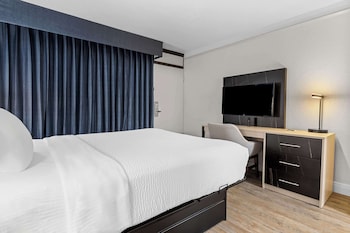 Room, 1 Queen Bed, Non Smoking