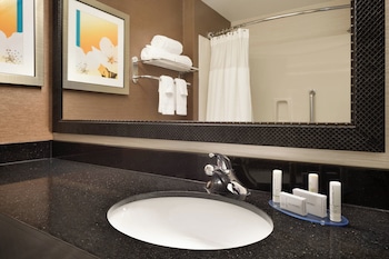Executive Suite, 1 King Bed with Sofa bed
