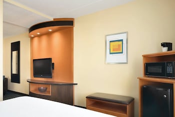 Executive Suite, 1 King Bed with Sofa bed