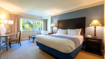 Room, 1 King Bed, Non Smoking
