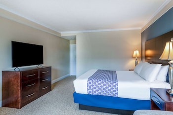 Room, 1 King Bed, Accessible, Non Smoking (Mobility/Hearing/Roll in Shower)