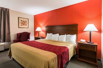 Room, 1 King Bed, Accessible, Non Smoking