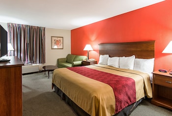 Room, 1 King Bed, Smoking