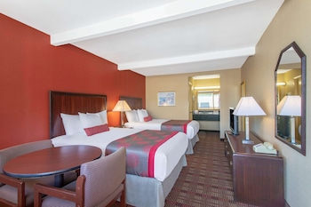 Double Room, 2 Double Beds