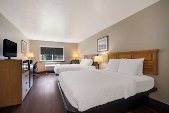 Standard Room, 2 Queen Beds, Non Smoking, Refrigerator & Microwave