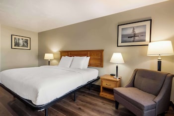 Standard Room, 1 King Bed, Non Smoking, Refrigerator & Microwave