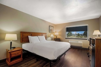 Standard Room, 1 King Bed, Non Smoking, Refrigerator & Microwave