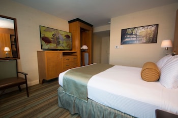 Standard Room, 1 Queen Bed, Accessible, Refrigerator & Microwave