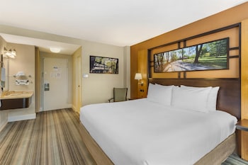 Standard Room, 1 King Bed, Non Smoking, Refrigerator & Microwave