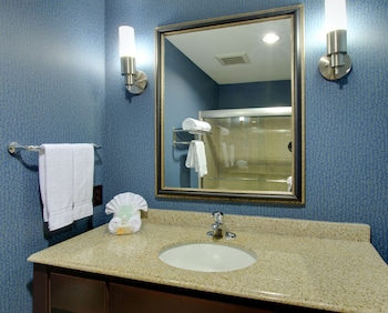 Standard Room, 1 King Bed (Walk-In Shower)